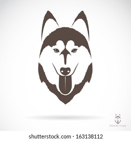 Vector image of a dog Siberian husky on white background