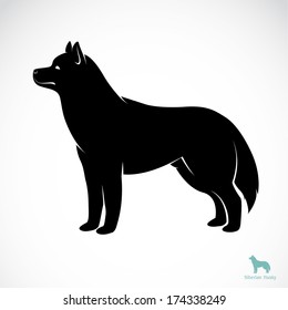 Vector image of a dog Siberian husky on white background