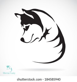 Vector image of a dog siberian husky on white background