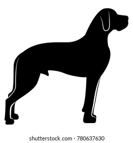 Vector image of a dog silhouette of a breed royal dog on a white background