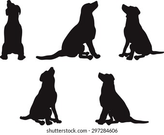 Vector Image - dog silhouette in default pose isolated on white background 