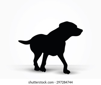 Vector Image - dog silhouette in default pose isolated on white background 