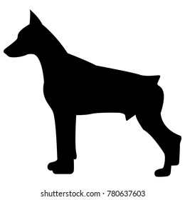 Vector image of dog silhouette of Doberman breed on white background