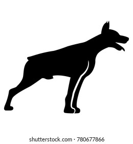Vector image of dog silhouette of Doberman breed on white background
