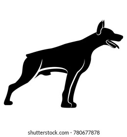 Vector image of dog silhouette of Doberman breed on white background