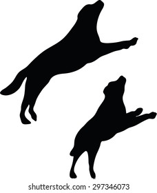 Vector Image - dog silhouette isolated on white background 