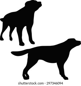 Vector Image - dog silhouette isolated on white background 