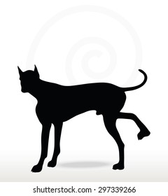 Vector Image - dog silhouette in leg raised pose isolated on white background 