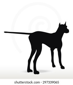 Vector Image - dog silhouette in still pose isolated on white background 