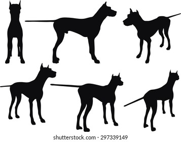 Vector Image - dog silhouette in still pose isolated on white background 