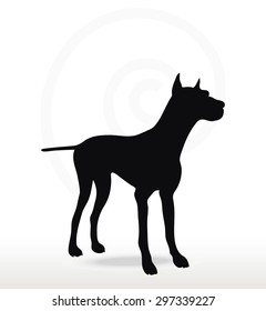 Vector Image - dog silhouette in still pose isolated on white background 