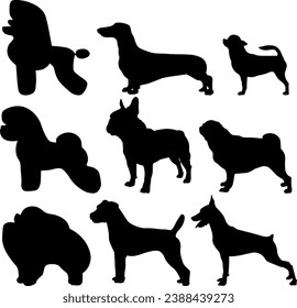 Vector image of dogs different breeds. Poodle, dachshund, chihuahua, bichon, bulldog, mops, pomeranian, jack russel, pincher.