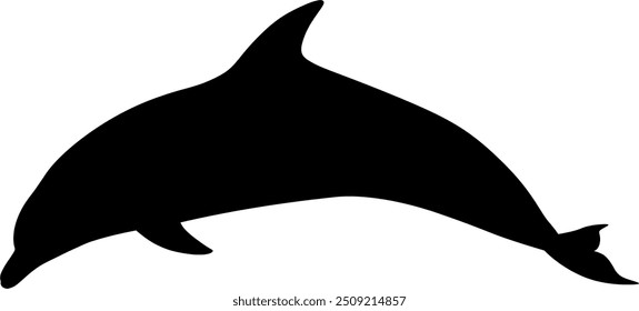 Vector image of a dolphin