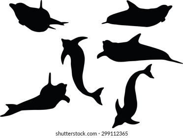 Vector Image - dolphin silhouette isolated on white background
