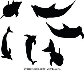 Vector Image - dolphin silhouette isolated on white background