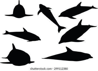 Vector Image - dolphin silhouette isolated on white background
