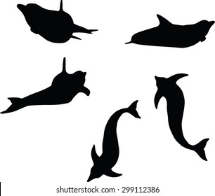Vector Image - dolphin silhouette isolated on white background

