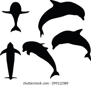 Vector Image - dolphin silhouette isolated on white background
