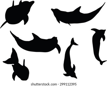 Vector Image - dolphin silhouette isolated on white background
