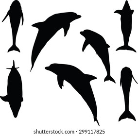 Vector Image - dolphin silhouette isolated on white background
