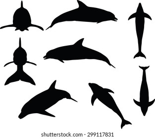 Vector Image - dolphin silhouette isolated on white background
