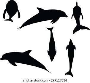Vector Image - dolphin silhouette isolated on white background
