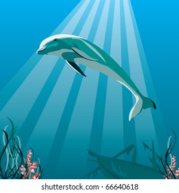 vector image of a dolphin swimming in the ocean