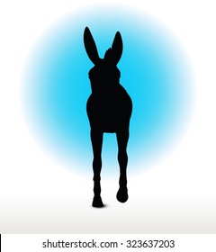 Vector Image, donkey silhouette, in canter pose, isolated on white background 