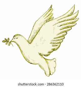 Vector image of a dove with a branch. Religious symbol of a bird