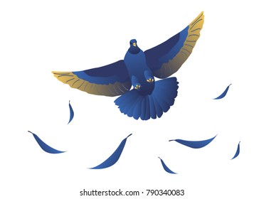 Vector image of a dove in flight with feathers.