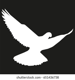 vector image of a dove flying