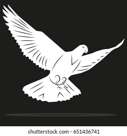 vector image of a dove flying