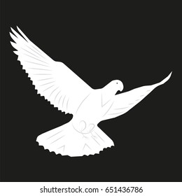 vector image of a dove flying