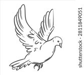 Vector image of a dove, linear sketch. A white pigeon flies into the sky. A world-famous symbol of peace, freedom, and hope. The Holy Spirit is represented by a bird. A sign of love and fidelity.