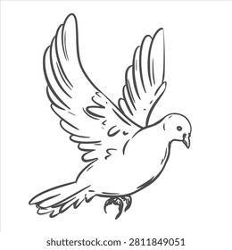 Vector image of a dove, linear sketch. A white pigeon flies into the sky. A world-famous symbol of peace, freedom, and hope. The Holy Spirit is represented by a bird. A sign of love and fidelity.
