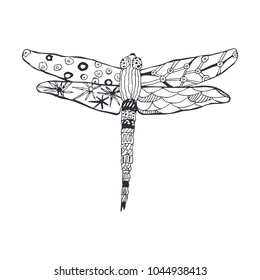 Vector image of a dragonfly. Black and white print with patterns.