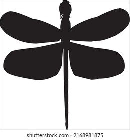 Vector  Image dragonfly silhouette icon  black   white color  transparent background