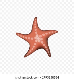 Vector image. Drawing of a nice starfish.