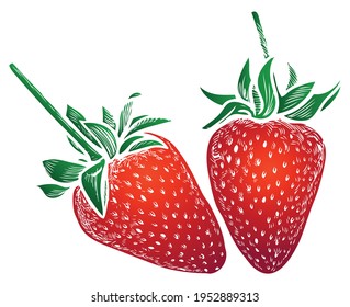 Vector image of drawn decorative red ripe strawberries