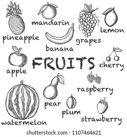 Vector image of the drawn fruit on a light background with the inscriptions under each icon. Graphic illustration.