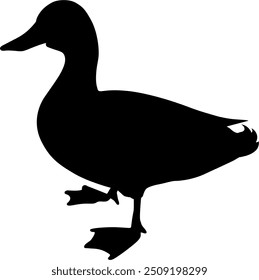 Vector Imagen de un pato