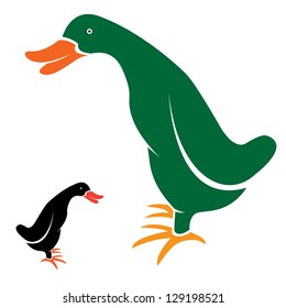 Vector image of ducks on white background