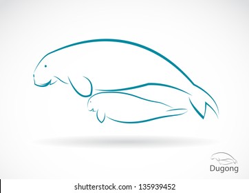 Vector image of an dugong on white background