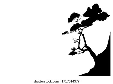 Vector image of a dwarf pine hand-drawn using graphic technique.