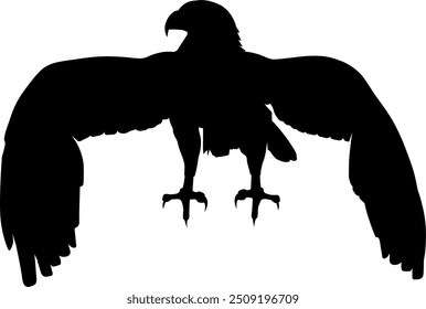 Vector image of an eagle