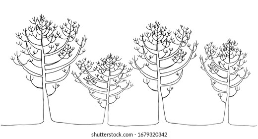 Vector image of an ebony. Beautiful natural tree silhouette.