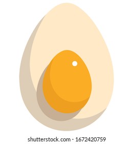 Vector image of an egg with yolk isolated on a white background