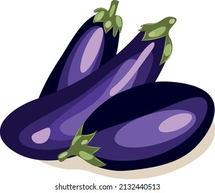 Vector image of an eggplant. Purple eggplant. Three eggplants. Ingredient.