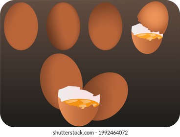 Vector image of eggs in normal size and when the egg is broken, showing the contents of the egg and the yolk