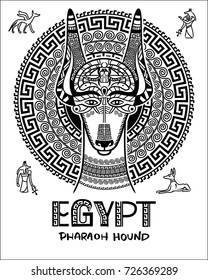 Vector image of an Egyptian dog. Ornament of ancient Egypt. God Anubis, the Ankh and the dog Pharaoh.